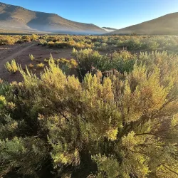 Touws River Hiking Trails - Touws River