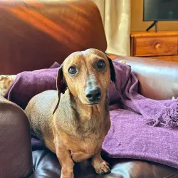 Touws River Hiking Trails - Touws River