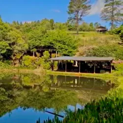 Haenertsburg Village - Tzaneen