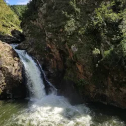 Magoebaskloof Canopy Tour - Tzaneen