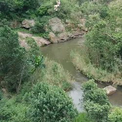 Magoebaskloof Canopy Tour - Tzaneen