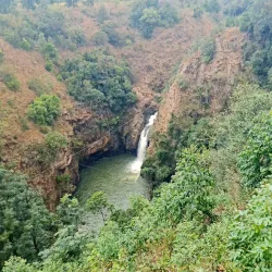 Magoebaskloof Canopy Tour - Tzaneen