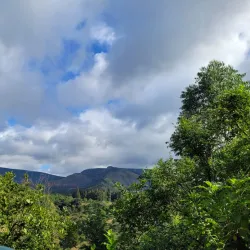 Magoebaskloof Canopy Tour - Tzaneen