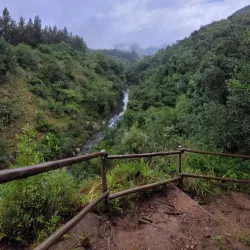Magoebaskloof Canopy Tour - Tzaneen