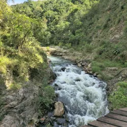 Magoebaskloof Canopy Tour - Tzaneen