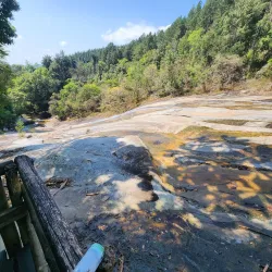 Magoebaskloof Forest - Tzaneen
