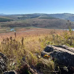 Magoebaskloof Forest - Tzaneen