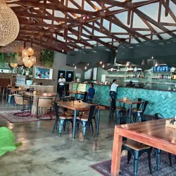 The Big Tree - Tzaneen