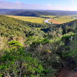 Kariega Game Reserve - Uitenhage