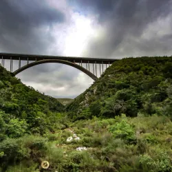 Van Stadens Bridge - Uitenhage