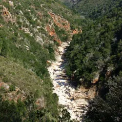 Van Stadens Bridge - Uitenhage