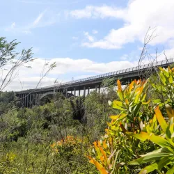 Van Stadens Bridge - Uitenhage