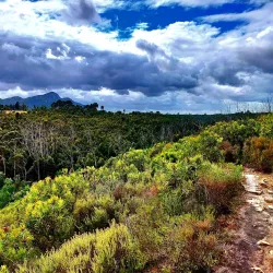 Van Stadens Wild Flower Reserve - Uitenhage