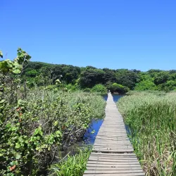 Umhlanga Lagoon Nature Reserve - Umhlanga