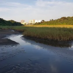 Umhlanga Lagoon Nature Reserve - Umhlanga