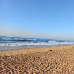 Umhlanga Lagoon Nature Reserve - Umhlanga