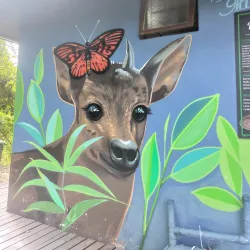 Umhlanga Lagoon Nature Reserve - Umhlanga