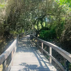 Umhlanga Promenade - Umhlanga