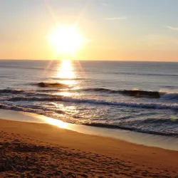 Aliwal Shoal Dive Centre - Umkomaas