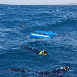 Aliwal Shoal Dive Centre - Umkomaas