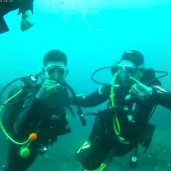 Aliwal Shoal Marine Protected Area - Umkomaas