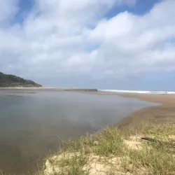 Mpenjati Nature Reserve - Umkomaas