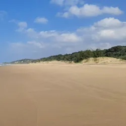 Mpenjati Nature Reserve - Umkomaas