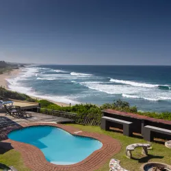 Sardine Run Viewing - Umkomaas