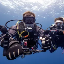 Sardine Run Viewing - Umkomaas