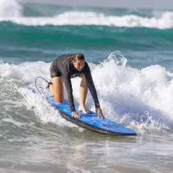 Sardine Run Viewing - Umkomaas