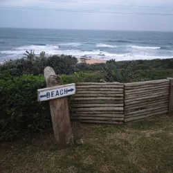Sardine Run Viewing - Umkomaas