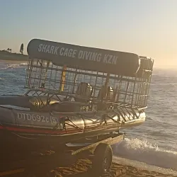 Shark Cage Diving Experiences - Umkomaas