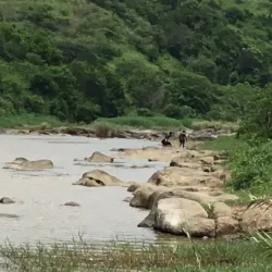 Umkomaas River Estuary - Umkomaas