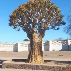 Augrabies Falls National Park - Upington