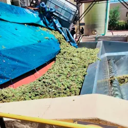 Orange River Wine Route - Upington