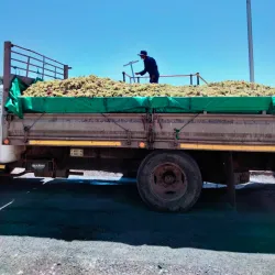 Orange River Wine Route - Upington