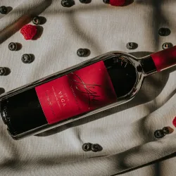 Orange River - Upington