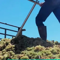 Orange River - Upington