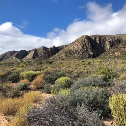 Rooiberg Nature Reserve - Upington