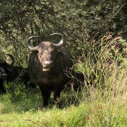 Rietspruit Nature Reserve - Vereeniging
