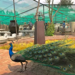 Vereeniging Botanical Gardens - Vereeniging