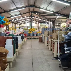 Vereeniging Botanical Gardens - Vereeniging