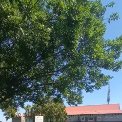 Vereeniging Civic Theatre - Vereeniging