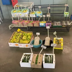 Vereeniging Market - Vereeniging