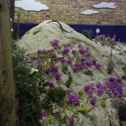 Darling Wildflower Show - Vredenburg