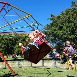 Darling Wildflower Show - Vredenburg