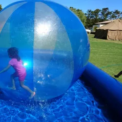 Darling Wildflower Show - Vredenburg