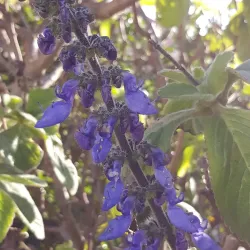 Saldanha Bay - Vredenburg