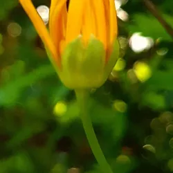 Saldanha Bay - Vredenburg