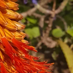 Saldanha Bay - Vredenburg
